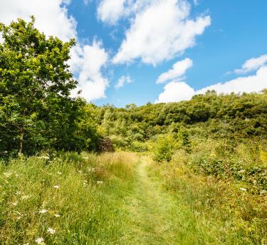 Wild Cornwall